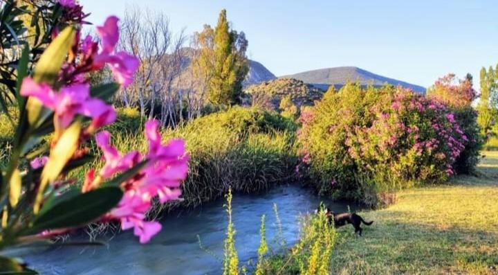 Atico-Plaza Daire Algodonales Dış mekan fotoğraf