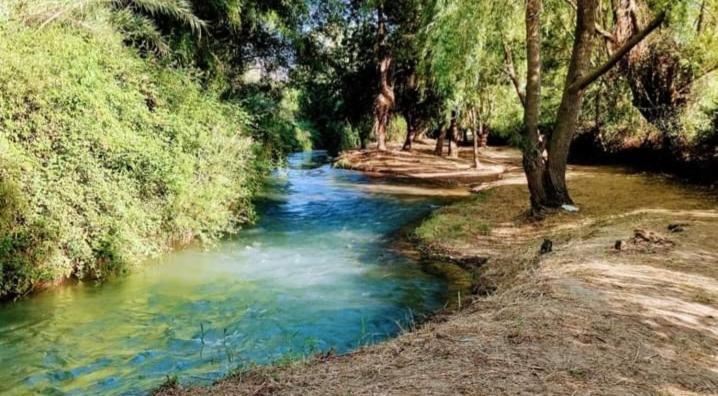 Atico-Plaza Daire Algodonales Dış mekan fotoğraf
