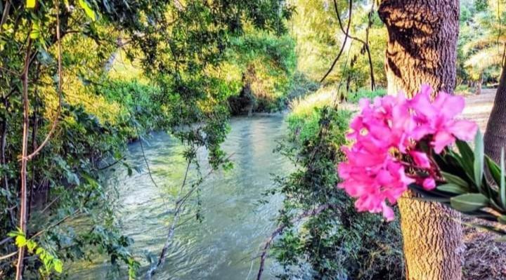 Atico-Plaza Daire Algodonales Dış mekan fotoğraf