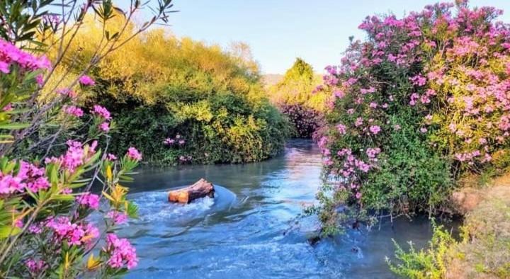 Atico-Plaza Daire Algodonales Dış mekan fotoğraf