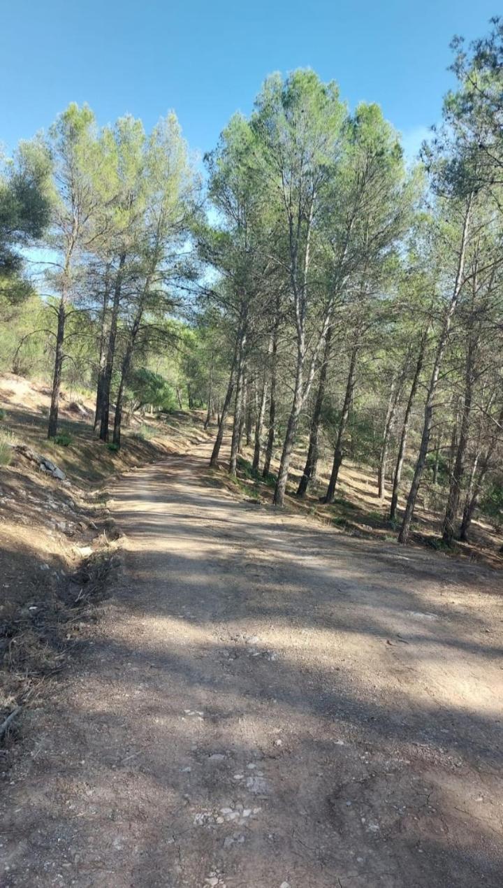 Atico-Plaza Daire Algodonales Dış mekan fotoğraf