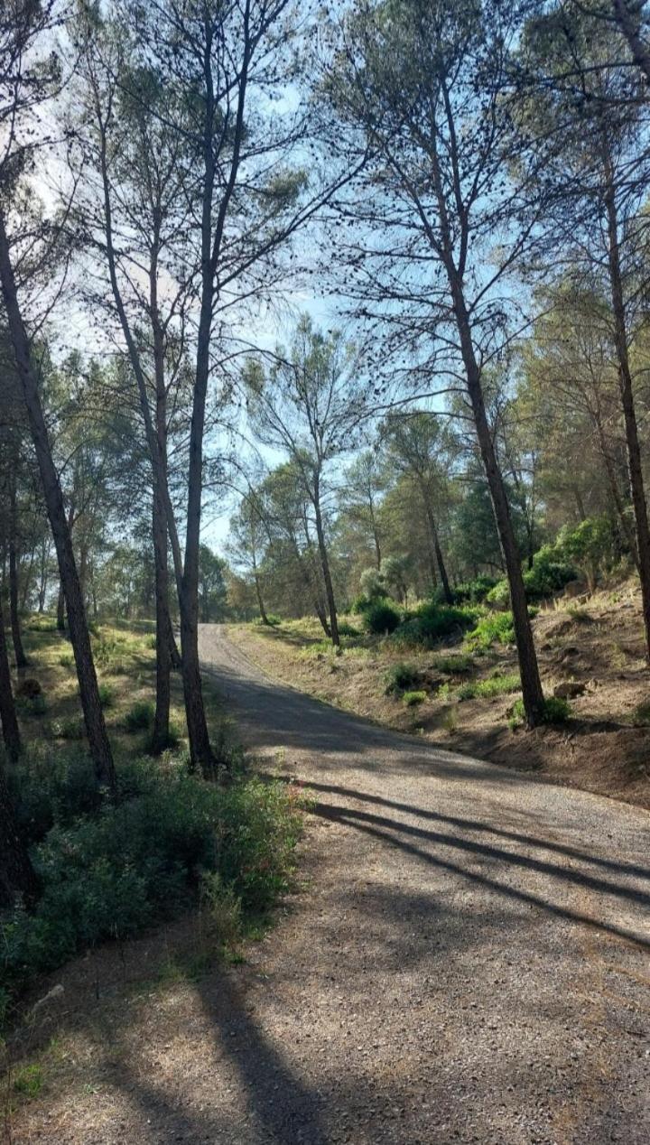 Atico-Plaza Daire Algodonales Dış mekan fotoğraf