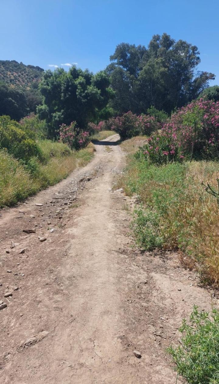 Atico-Plaza Daire Algodonales Dış mekan fotoğraf