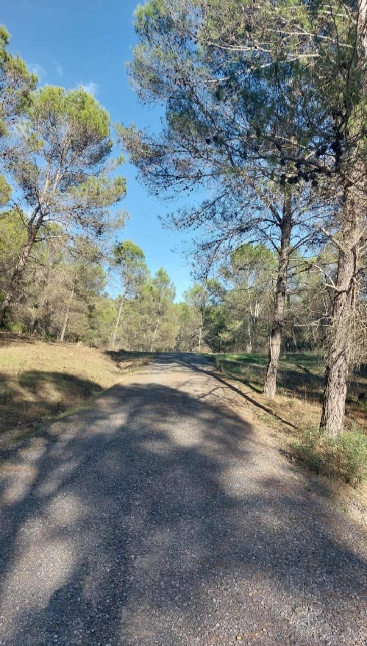 Atico-Plaza Daire Algodonales Dış mekan fotoğraf