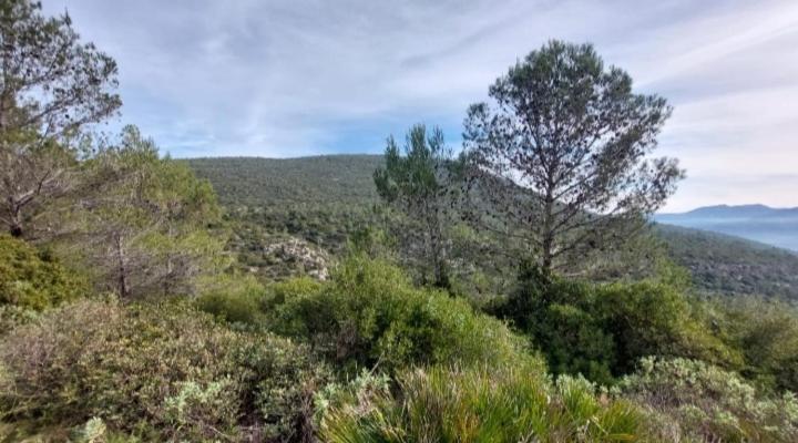 Atico-Plaza Daire Algodonales Dış mekan fotoğraf