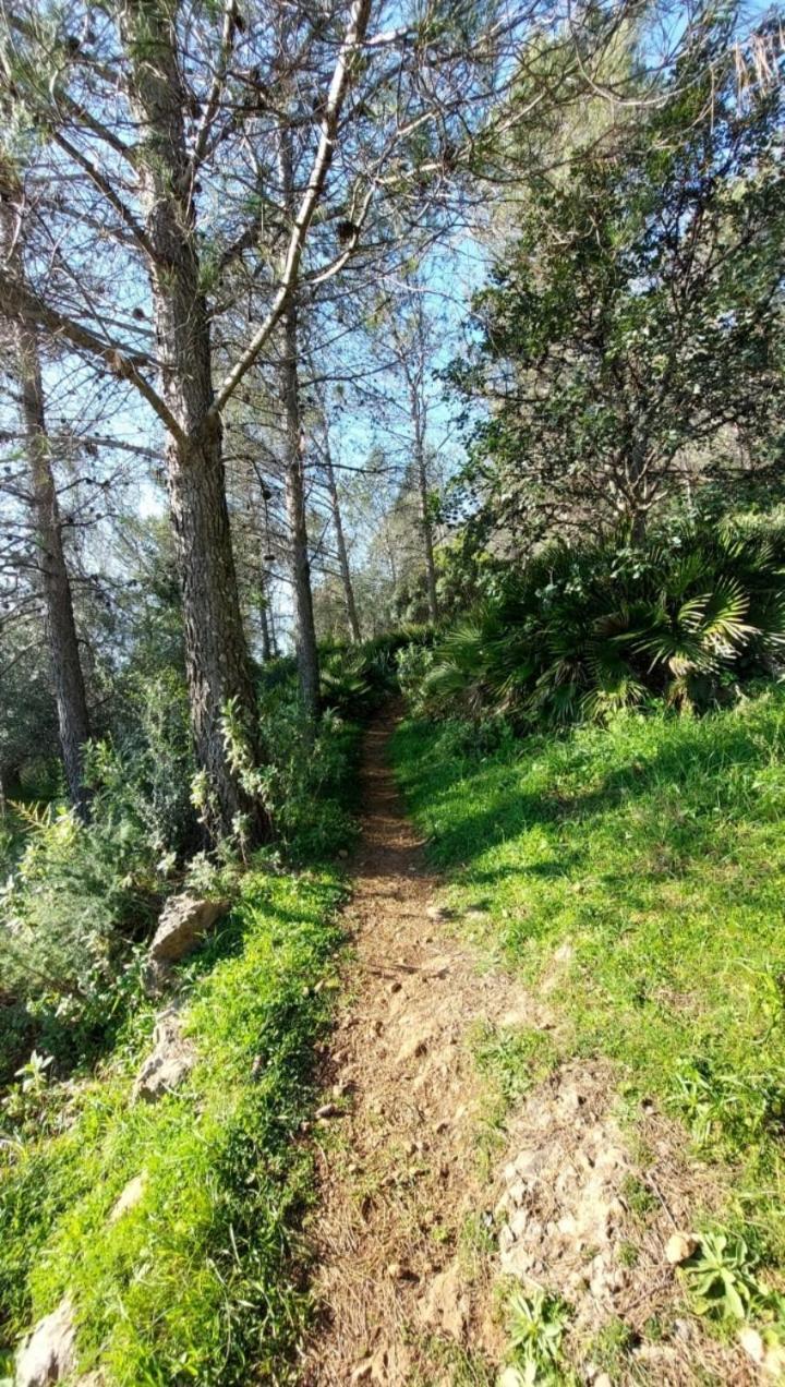 Atico-Plaza Daire Algodonales Dış mekan fotoğraf
