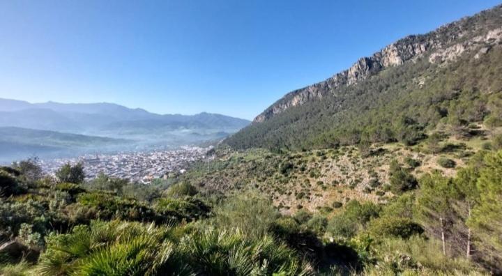Atico-Plaza Daire Algodonales Dış mekan fotoğraf